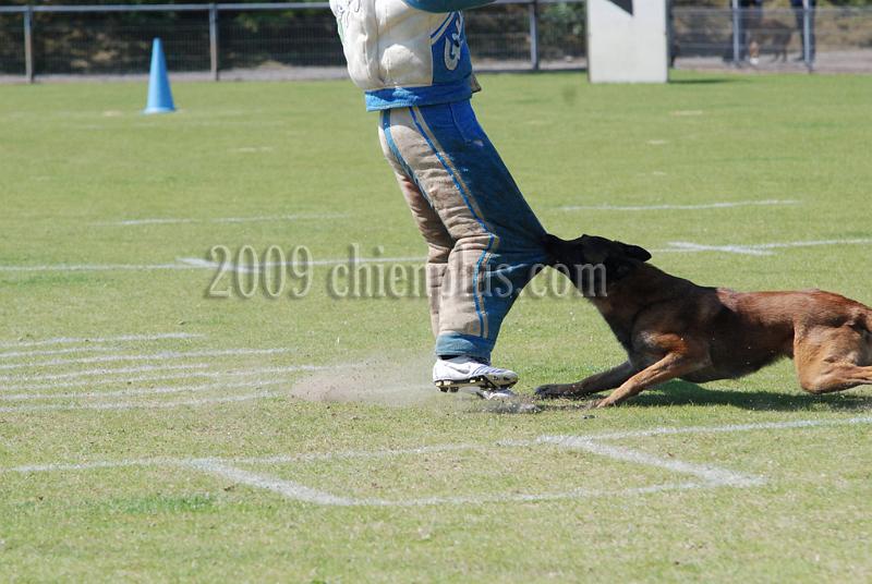 3 EME SELECTIF 2009 GRANDE SYNTHE 507.jpg
